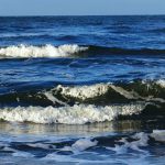wasserwellen